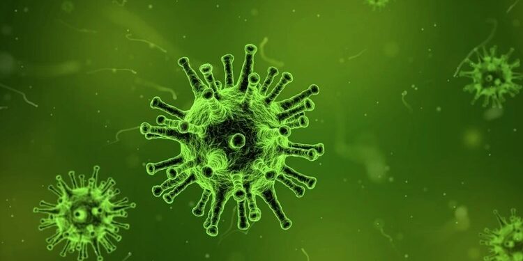 Variante descoberta em Manaus já é 80% dos casos de covid no Rio de Janeiro