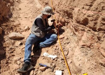 Fósseis de dinossauros são achados durante construção em rodovia de SP