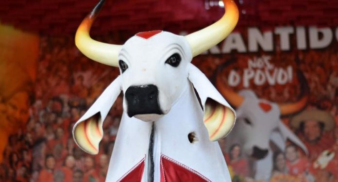 Boi Garantido prepara live com participação especial do presidente da Mangueira