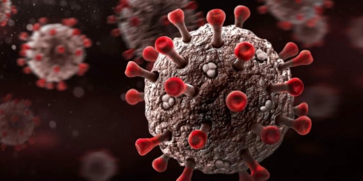 Artigo expõe ‘conspiração’ global para esconder origem da Covid