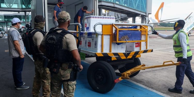 Amazonas recebe novo lote com 99 mil doses de vacina da AstraZeneca