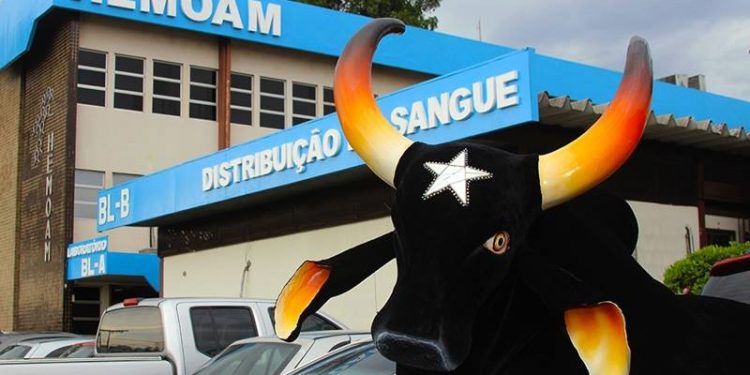 Movimento Marujada mobiliza para doação de sangue em Manaus nesta quinta-feira