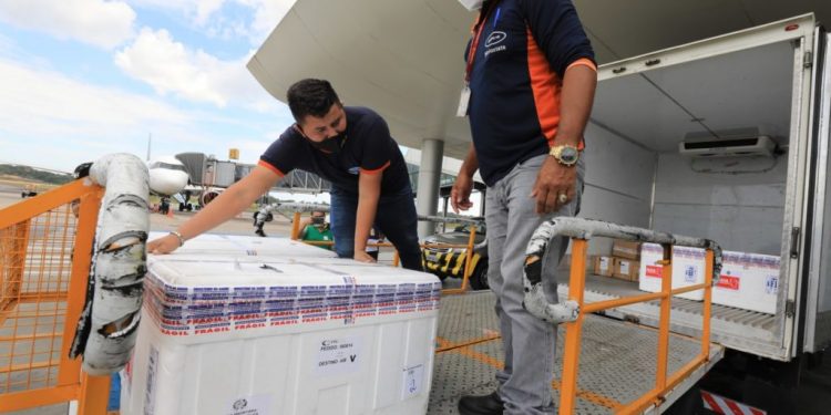 Amazonas recebe mais 73.010 doses de vacinas contra a Covid-19