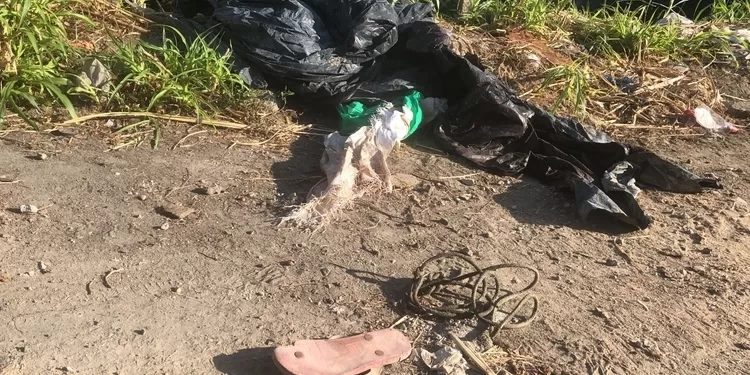 Corpo de mulher decapitada é encontrado por moradores em Manaus