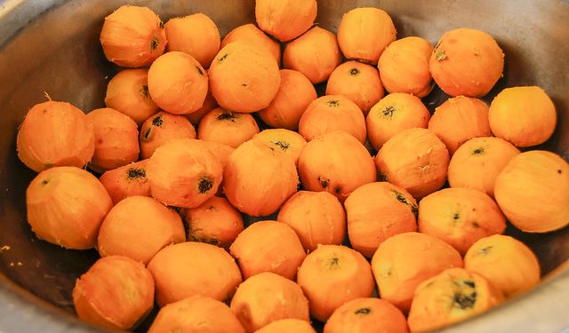 Investigação sobre surto de tucumã no Amazonas é encerrada após resultados inconclusivos