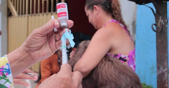 Campanha de vacinação antirrábica gratuita para cães e gatos começa nesta terça-feira (25), em Manaus