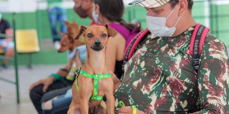 Vacinação Antirrábica em Manaus segue na zona Sul e inicia na zona Oeste
