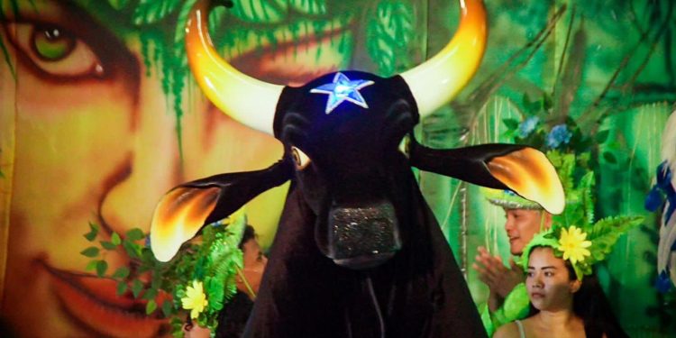 Caprichoso é o único bumbá a realizar shows para turistas em 2023