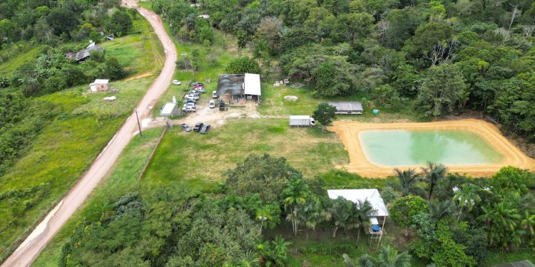 AGRICULTURA FAMILIAR – ‘Manaus mais Agro’ da prefeitura fomenta a cadeia produtiva da Pitaya